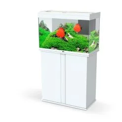 Ciano Aquarium Emotions Nature Pro 80 | Worldofanimals.nl Heeft Het!