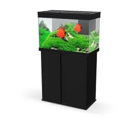 Ciano Aquarium Emotions Nature Pro 80 | Worldofanimals.nl Heeft Het!