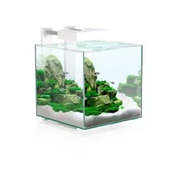 Ciano Aquarium Nexus Pure 15 Led | Worldofanimals.nl Heeft Het!