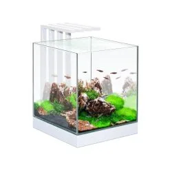 Ciano Aquarium Nexus Pure 25 Led | Worldofanimals.nl Heeft Het!
