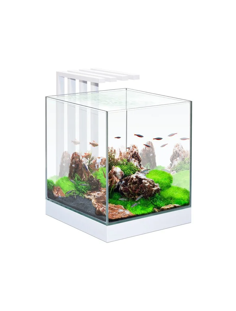 Ciano Aquarium Nexus Pure 25 Led | Worldofanimals.nl Heeft Het! 1 Ciano Aquarium Nexus Pure 25 Led | Worldofanimals.nl Heeft Het!