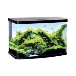 Duvo Aquarium Panorama | Worldofanimals.nl Heeft Het!