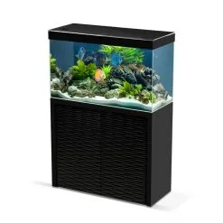 Ciano Aquariumset Emotions Nature One 100 | Worldofanimals.nl Heeft Het!