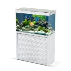Ciano Aquariumset Emotions Nature One 100 | Worldofanimals.nl Heeft Het!