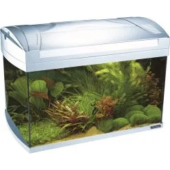 Flamingo Aquariumset Onega 40l | Worldofanimals.nl Heeft Het!