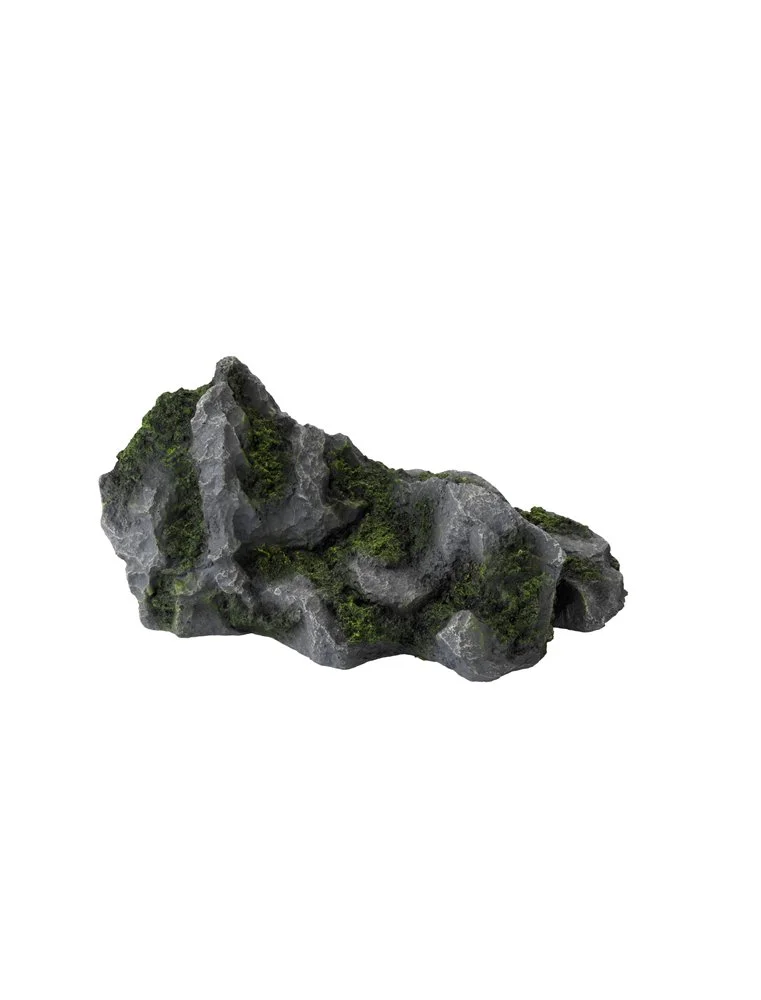 Aqua Della Aquascape Diy Combo 3 | Worldofanimals.nl Heeft Het! 1 Aqua Della Aquascape Diy Combo 3 | Worldofanimals.nl Heeft Het!