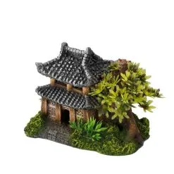 Aqua Della Asian House With Plants | Worldofanimals.nl Heeft Het!