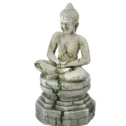 Aqua Della Bayon Bouddha 1 | Worldofanimals.nl Heeft Het!