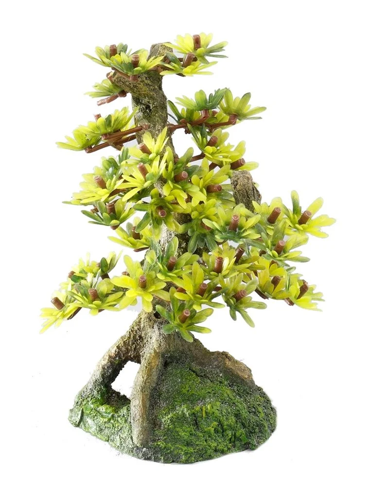 Aqua Della Bonsai Medio Sort B | Worldofanimals.nl Heeft Het! 1 Aqua Della Bonsai Medio Sort B | Worldofanimals.nl Heeft Het!
