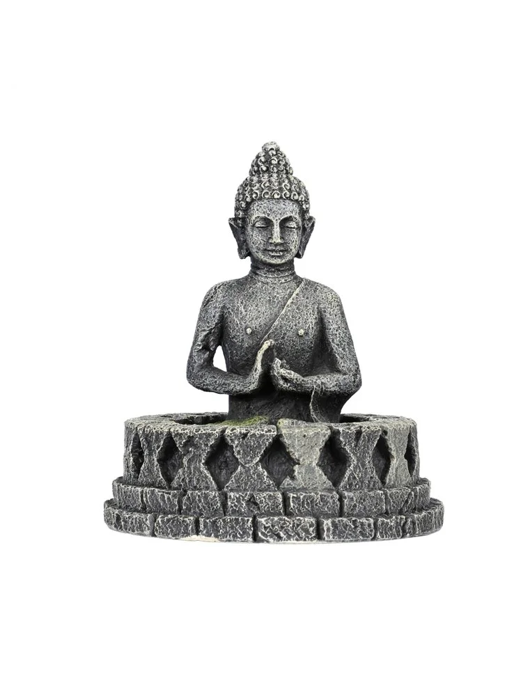 Aqua Della Boro | Worldofanimals.nl Heeft Het! 1 Aqua Della Boro | Worldofanimals.nl Heeft Het!