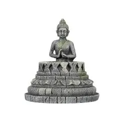 Aqua Della Budur | Worldofanimals.nl Heeft Het!