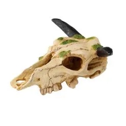 Aqua Della Carabaoskull | Worldofanimals.nl Heeft Het!