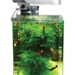 Aquatic Nature Cocoon Aquarium Nr 1 | Worldofanimals.nl Heeft Het!