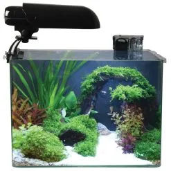 Aquatic Nature Cocoon Aquarium Nr 4 | Worldofanimals.nl Heeft Het!