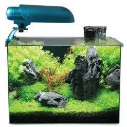 Aquatic Nature Cocoon Aquarium Nr 5 Leeg | Worldofanimals.nl Heeft Het!