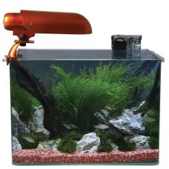 Aquatic Nature Cocoon Aquarium Nr 6 Leeg | Worldofanimals.nl Heeft Het!
