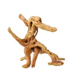 Aqua Della Coffee Root | 3 | Worldofanimals.nl Heeft Het!