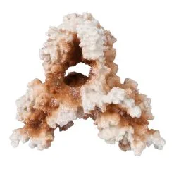 Aqua Della Coral M | Worldofanimals.nl Heeft Het!