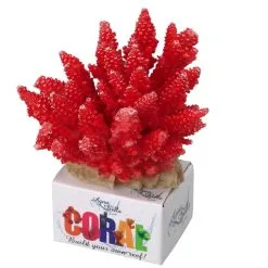 Aqua Della Coral Module Acropora | Worldofanimals.nl Heeft Het!