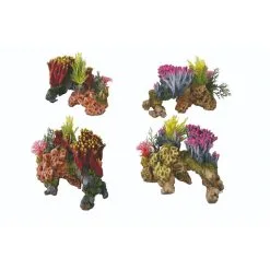 Aqua Della Coralset Medio | Worldofanimals.nl Heeft Het!