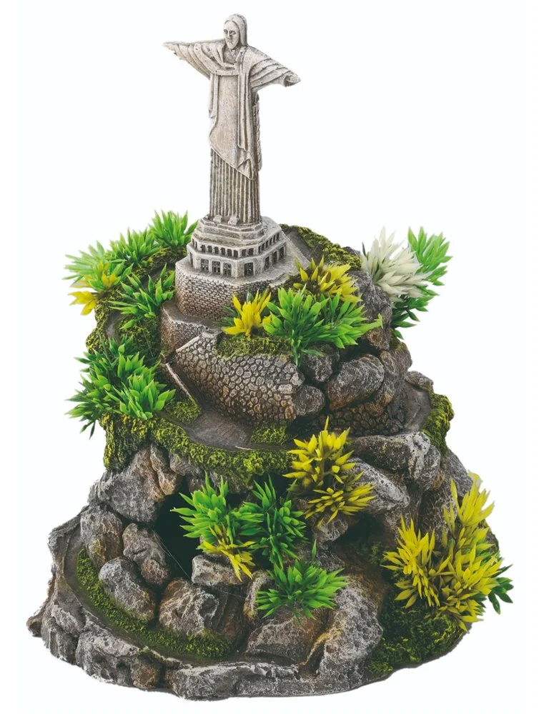 Aqua Della Corcovado In Rio | Worldofanimals.nl Heeft Het! 1 Aqua Della Corcovado In Rio | Worldofanimals.nl Heeft Het!