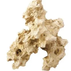 Aqua Della Deco Stone Combo Sea | Worldofanimals.nl Heeft Het!