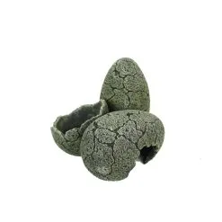 Aqua Della Eggs L | Worldofanimals.nl Heeft Het!