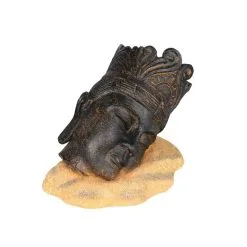 Aqua Della Farao Dark | Worldofanimals.nl Heeft Het!