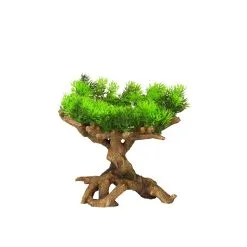 Aqua Della Florascape 11 | Worldofanimals.nl Heeft Het!