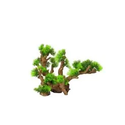 Aqua Della Florascape 12 | Worldofanimals.nl Heeft Het!