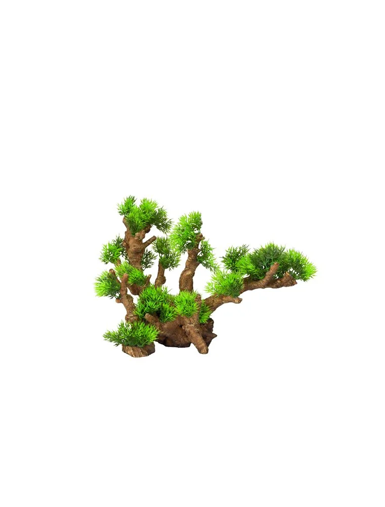 Aqua Della Florascape 12 | Worldofanimals.nl Heeft Het! 1 Aqua Della Florascape 12 | Worldofanimals.nl Heeft Het!