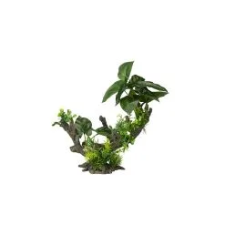 Aqua Della Florascape 2 | Worldofanimals.nl Heeft Het!