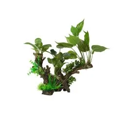 Aqua Della Florascape 3 | Worldofanimals.nl Heeft Het!