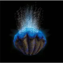 Hydor H2show Deco Kit Blue Clam | Worldofanimals.nl Heeft Het!