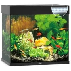 Juwel Aquarium Lido 120 Led | Worldofanimals.nl Heeft Het!