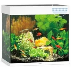 Juwel Aquarium Lido 120 Led | Worldofanimals.nl Heeft Het!