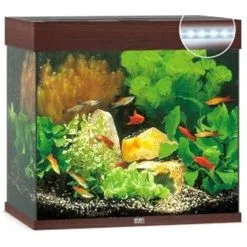 Juwel Aquarium Lido 120 Led | Worldofanimals.nl Heeft Het!