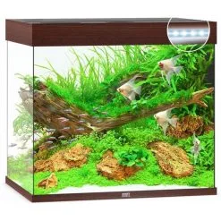 Juwel Aquarium Lido 200 Led | Worldofanimals.nl Heeft Het!