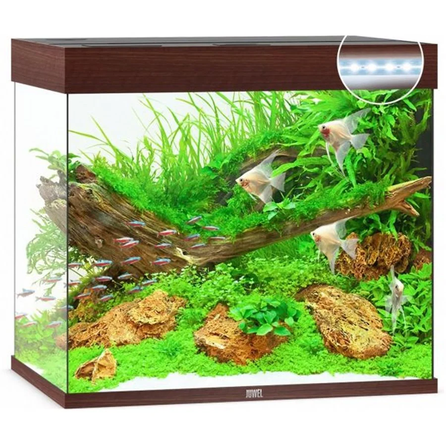 Juwel Aquarium Lido 200 Led | Worldofanimals.nl Heeft Het! 1 Juwel Aquarium Lido 200 Led | Worldofanimals.nl Heeft Het!
