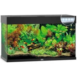 Juwel Aquarium Rio 125 Led | Worldofanimals.nl Heeft Het!