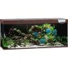 Juwel Aquarium Rio 450 Led | Worldofanimals.nl Heeft Het!