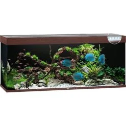 Juwel Aquarium Rio 450 Led | Worldofanimals.nl Heeft Het!