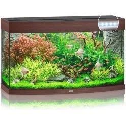 Juwel Aquarium Vision 180 Led | Worldofanimals.nl Heeft Het!