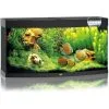 Juwel Aquarium Vision 260 Led | Worldofanimals.nl Heeft Het!