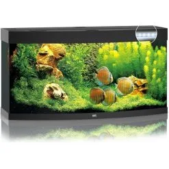 Juwel Aquarium Vision 260 Led | Worldofanimals.nl Heeft Het!