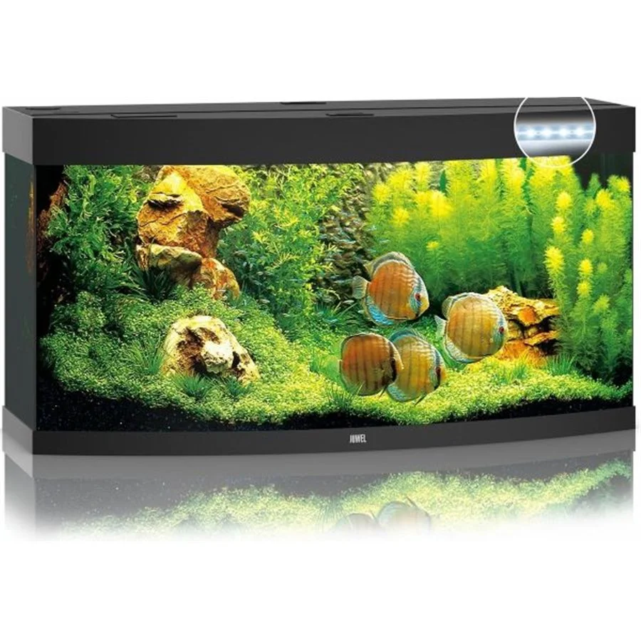 Juwel Aquarium Vision 260 Led | Worldofanimals.nl Heeft Het! 1 Juwel Aquarium Vision 260 Led | Worldofanimals.nl Heeft Het!