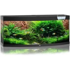 Juwel Aquarium Vision 450 Led | Worldofanimals.nl Heeft Het!
