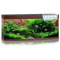 Juwel Aquarium Vision 450 Led | Worldofanimals.nl Heeft Het!