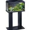 Ciano Kast Aqua 60 | Worldofanimals.nl Heeft Het!