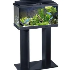 Ciano Kast Aqua 60 | Worldofanimals.nl Heeft Het!